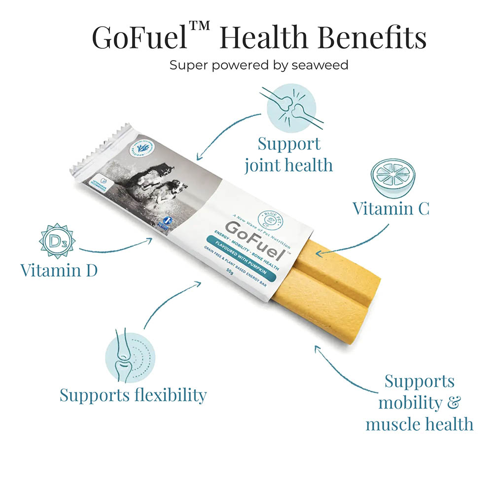 Blue Pet GoFuel proteinbar energibar till din hund