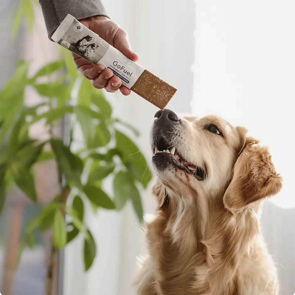 Blue Pet GoFuel energibar till hund baserad på tång