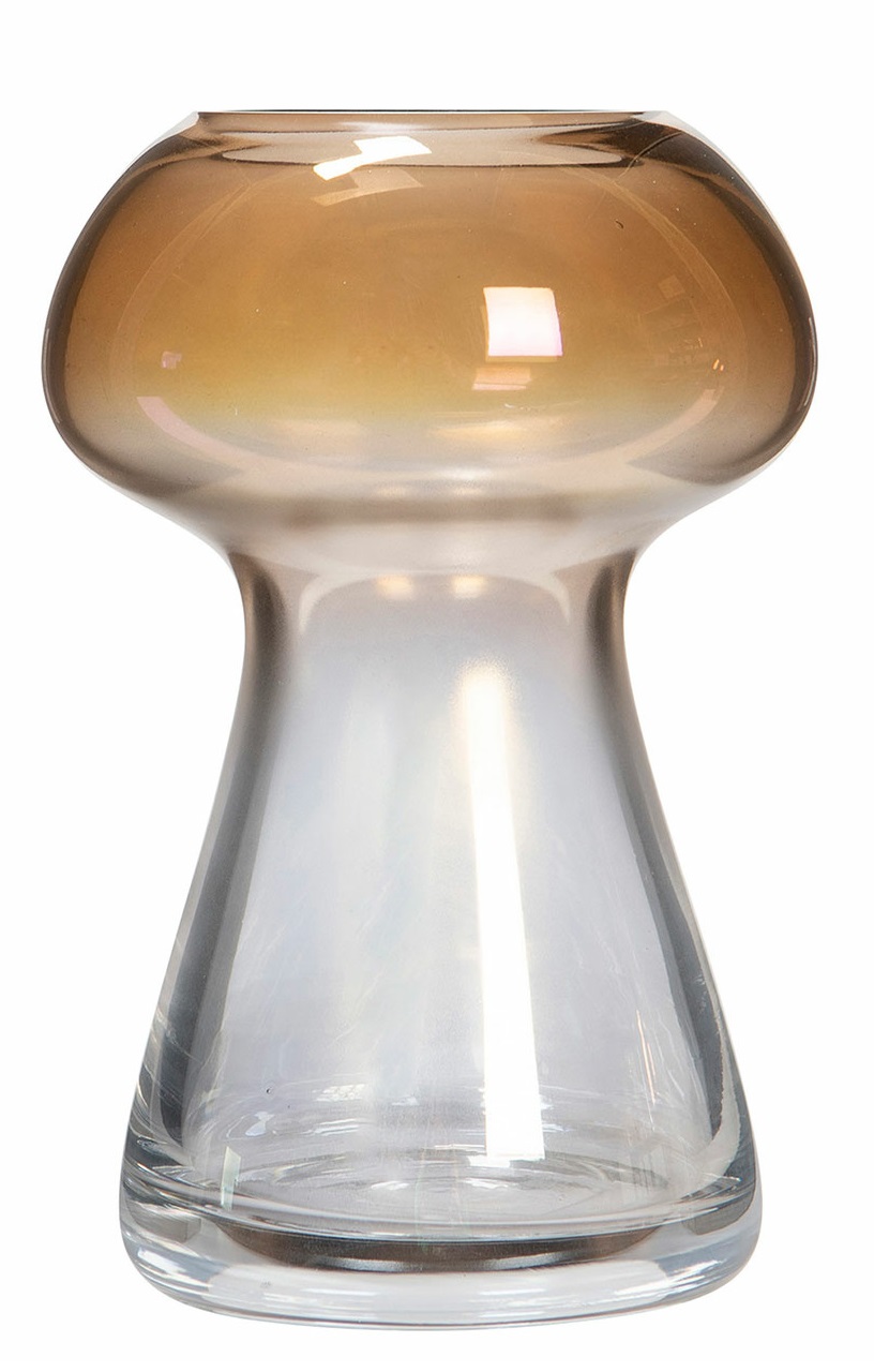 Vas - Glasvas - Svamp - Hög - 11x17 cm  - 3