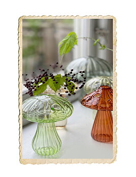 Glas svampvas
