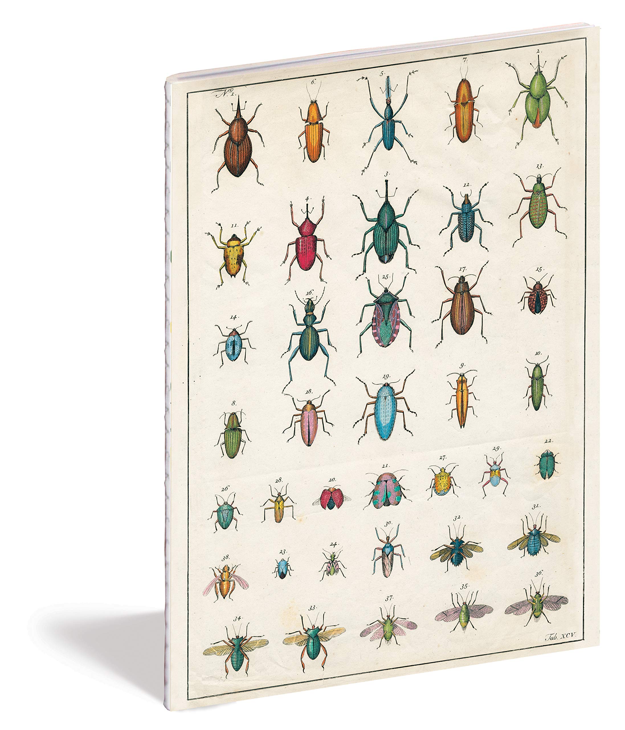 John Derian Paper Goods: In the Garden Notebooks - 3