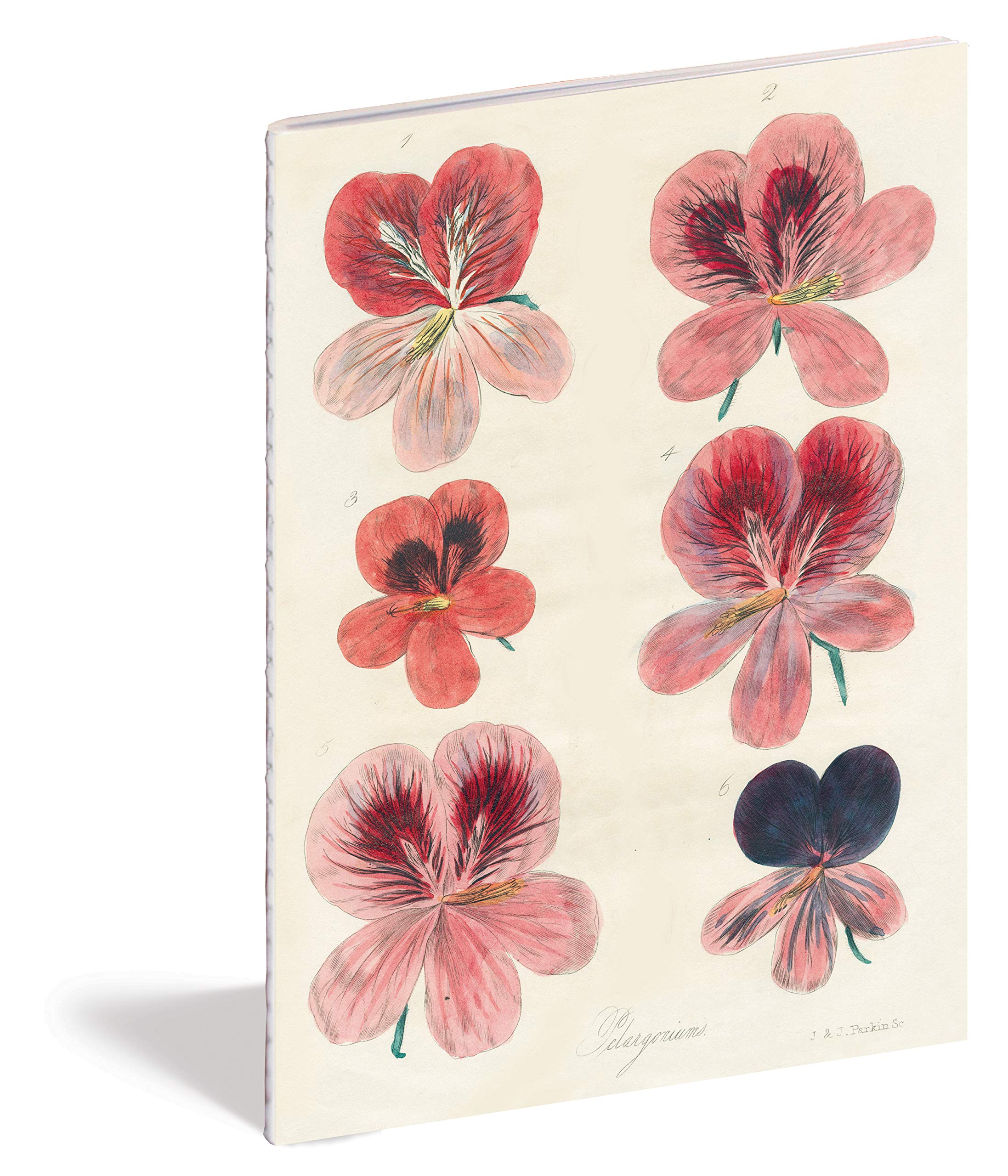 John Derian Paper Goods: In the Garden Notebooks - 2