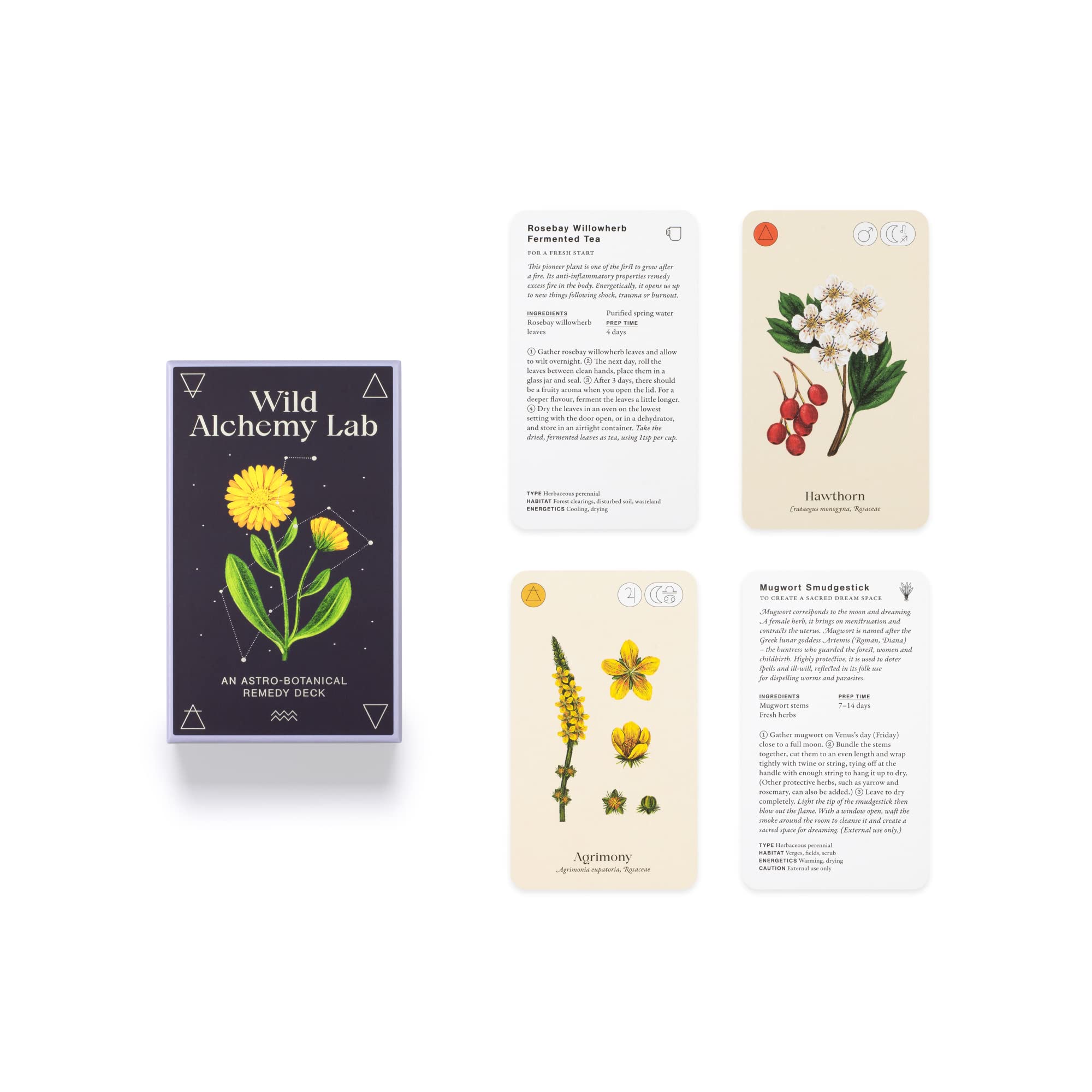 Wild Alchemy Lab - 7
