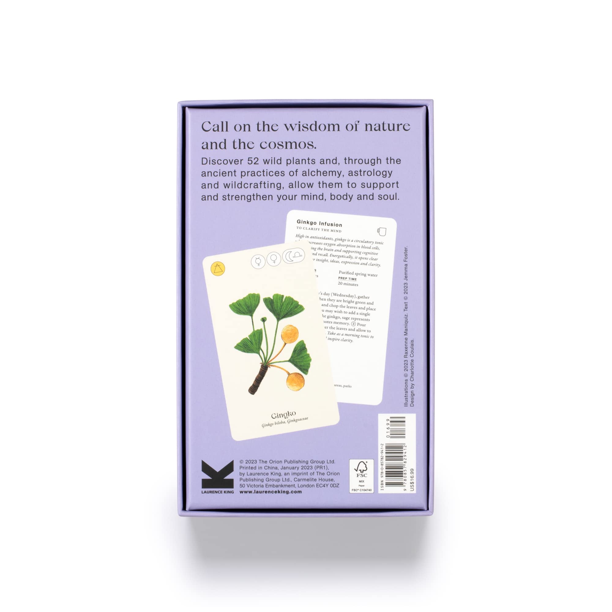 Wild Alchemy Lab - 3