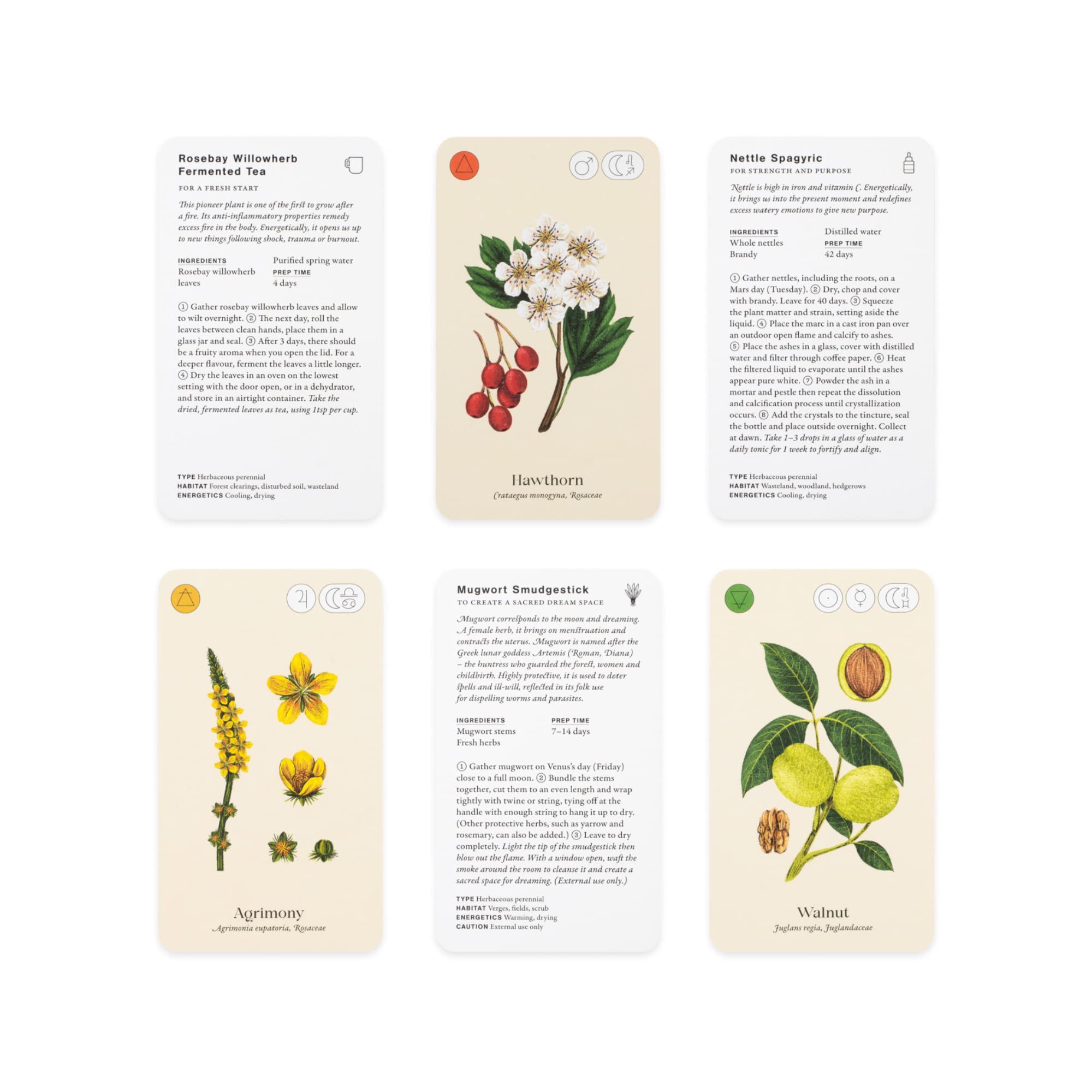 Wild Alchemy Lab - 6