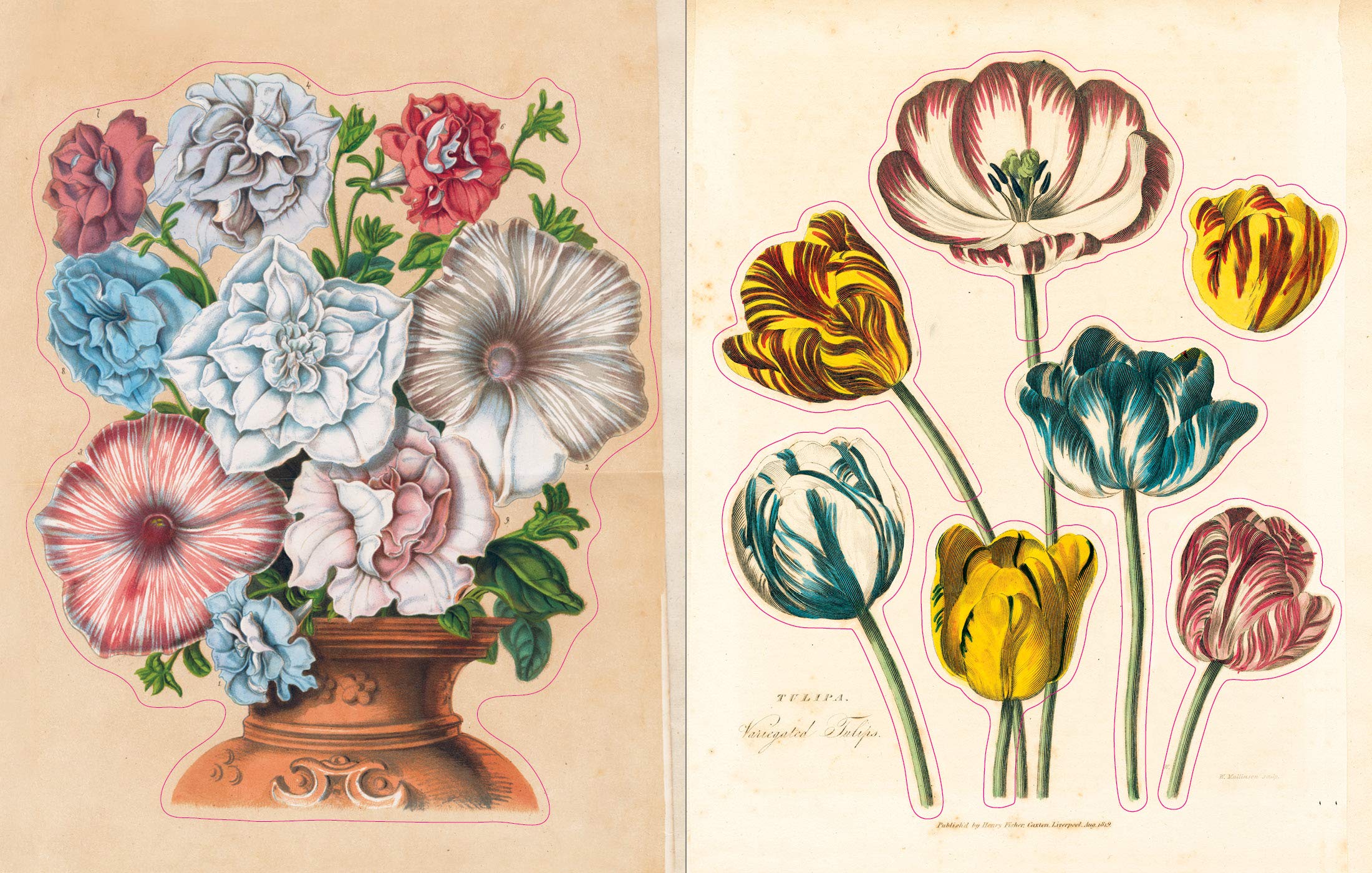 John Derian Sticker Book - 6