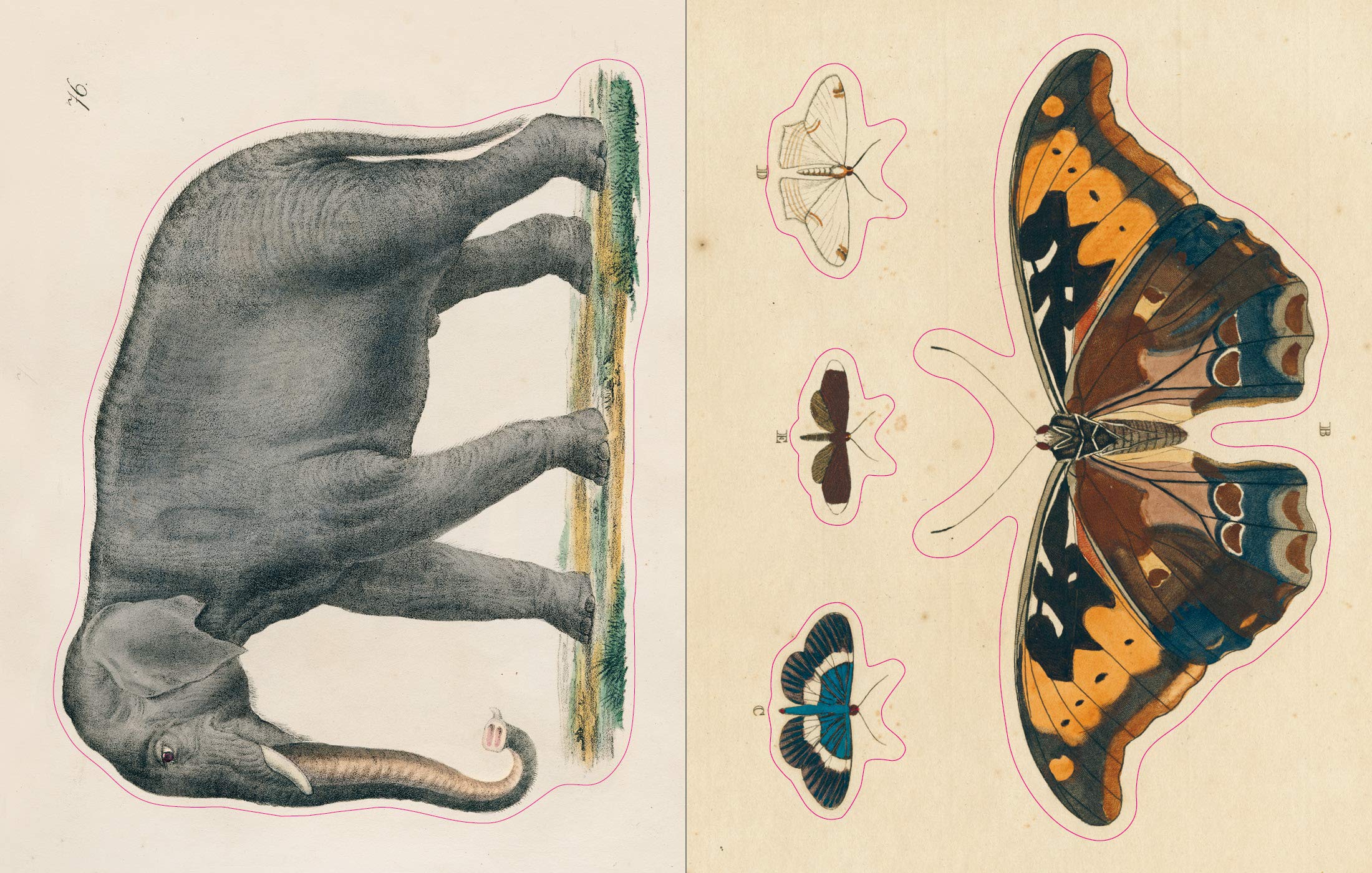 John Derian Sticker Book - 5