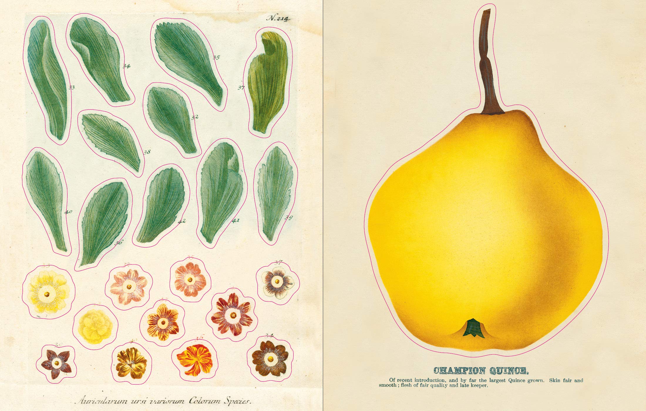 John Derian Sticker Book - 4
