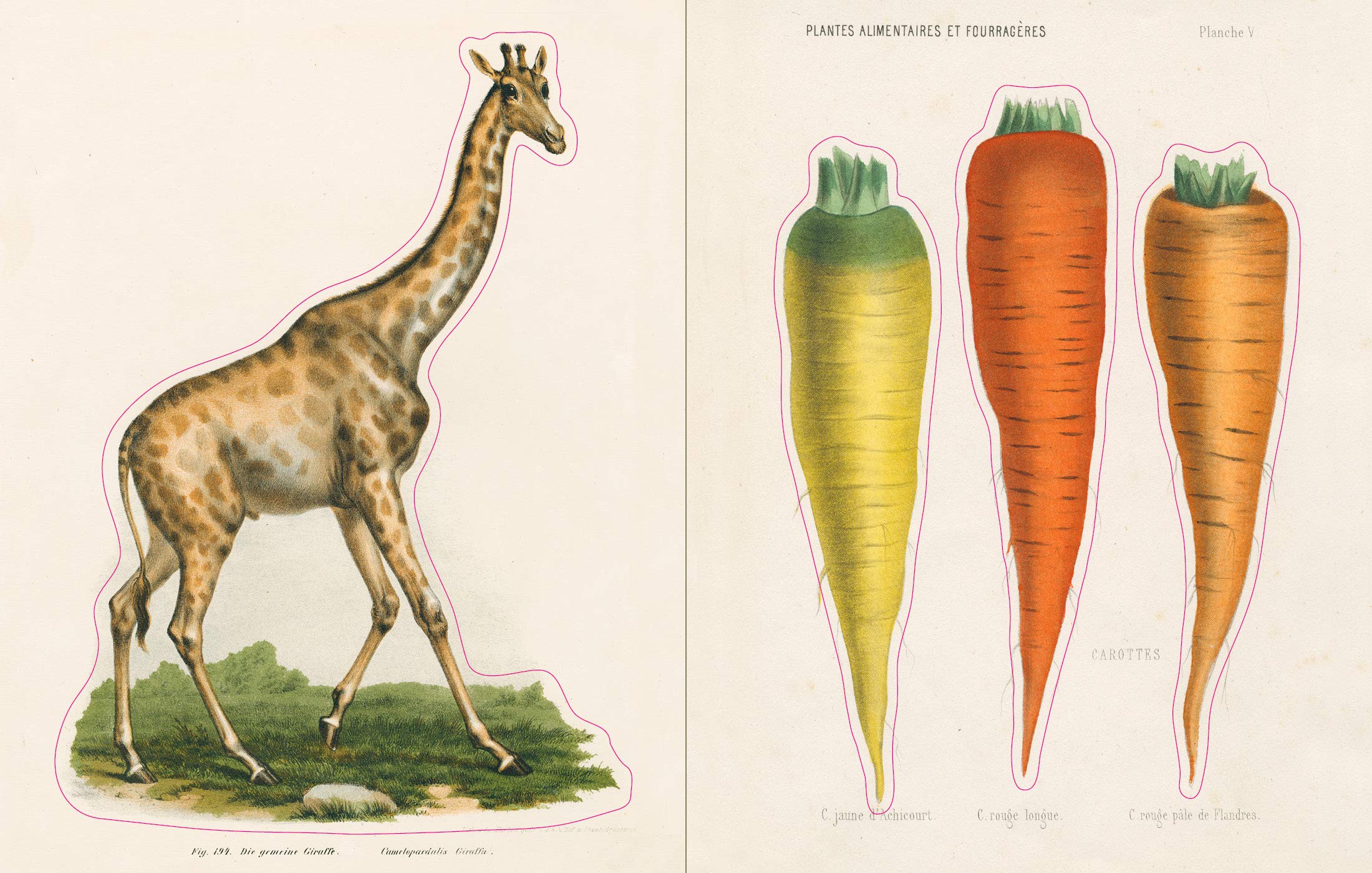 John Derian Sticker Book - 3