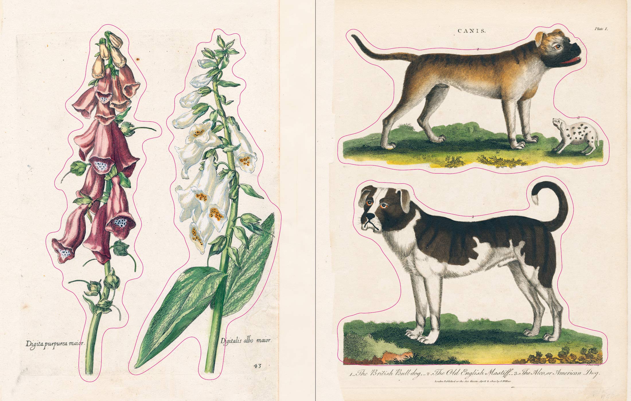 John Derian Sticker Book - 11