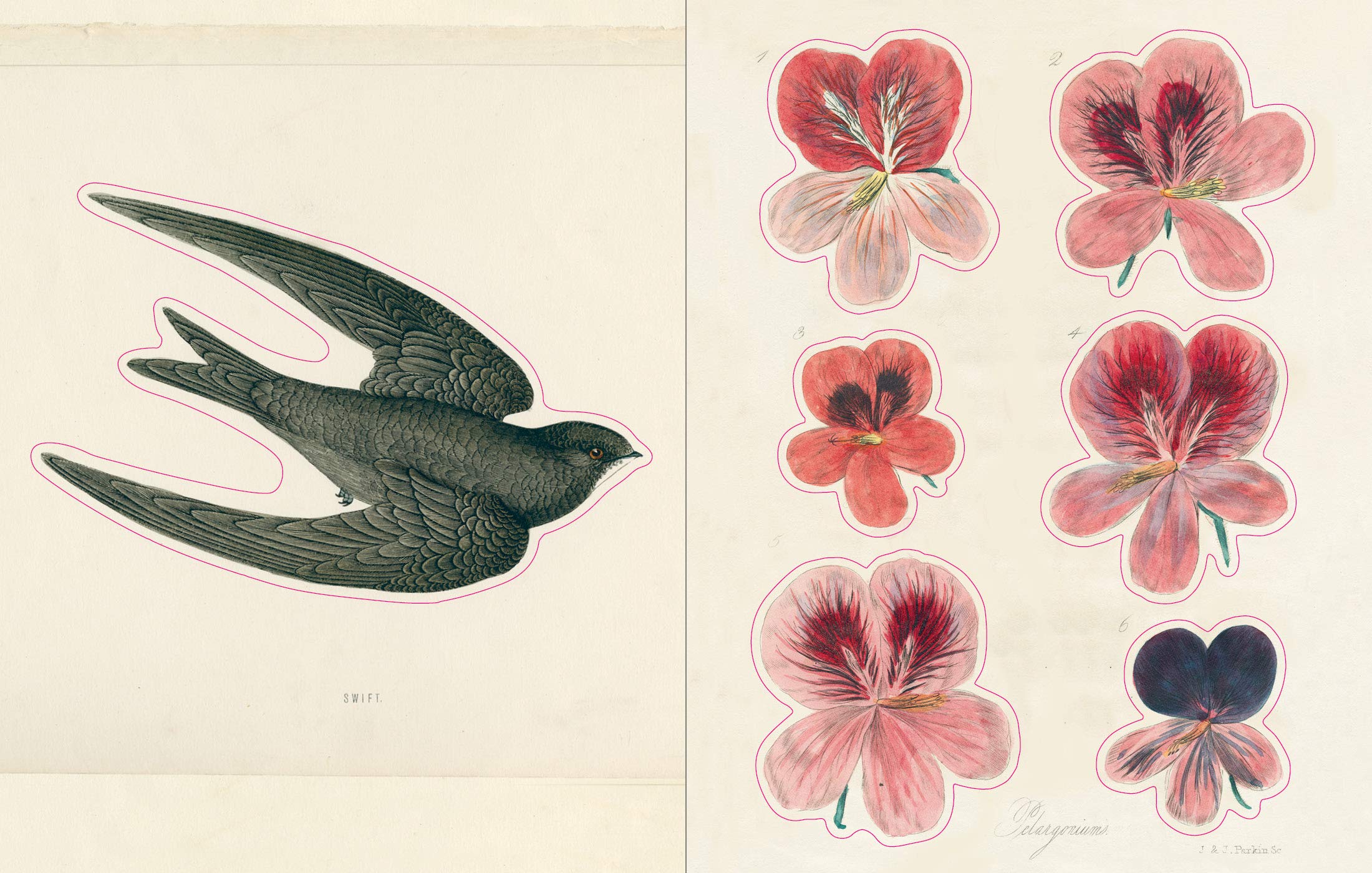 John Derian Sticker Book - 8
