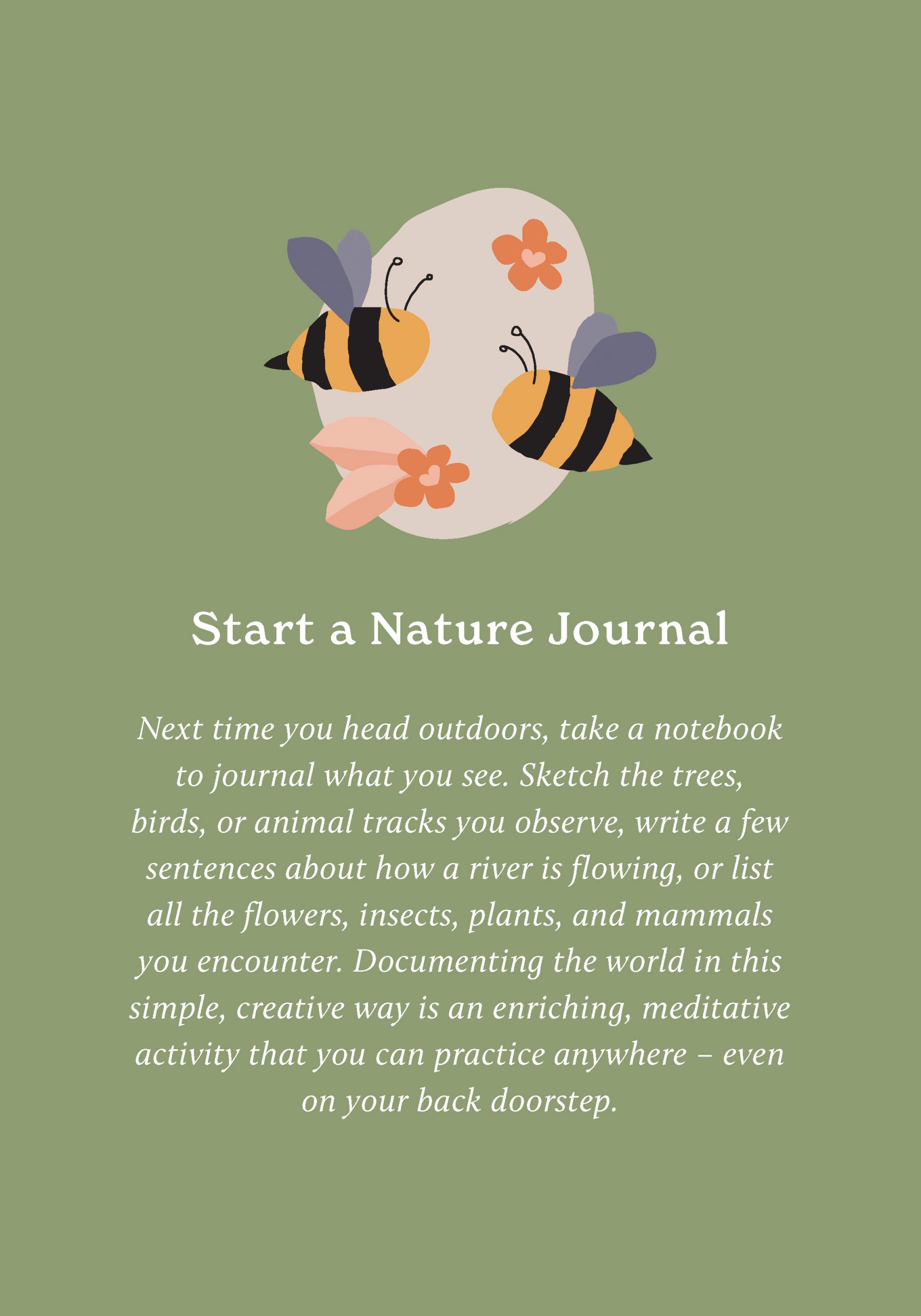 100 Ways to Reconnect with Nature Everyday cards for wherever you live - 4