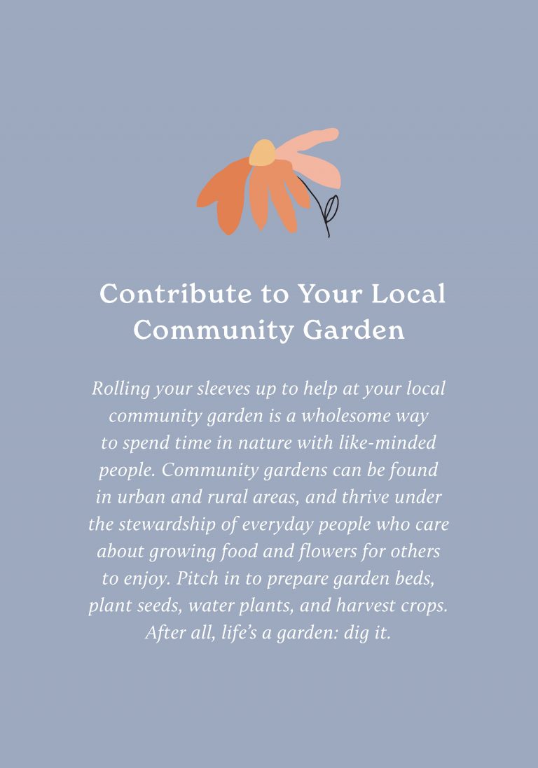100 Ways to Reconnect with Nature Everyday cards for wherever you live - 9