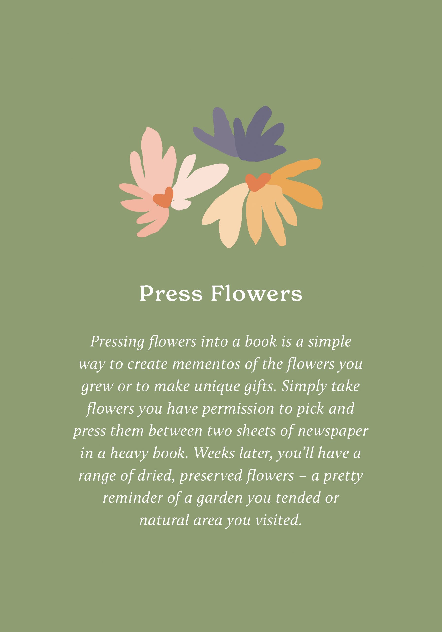 100 Ways to Reconnect with Nature Everyday cards for wherever you live - 2