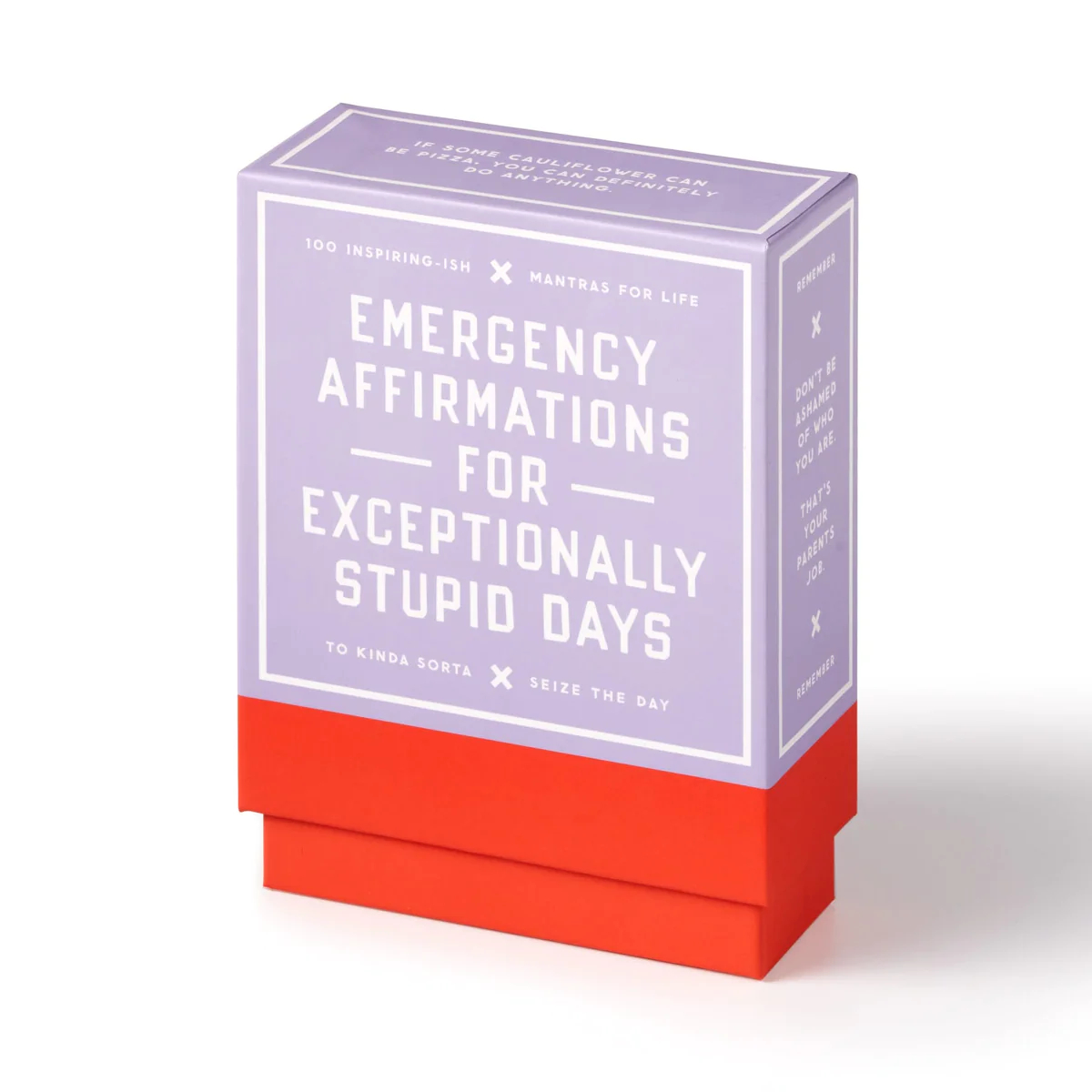 Emergency Affirmations for Exceptionally Stupid Days Card Deck - 2