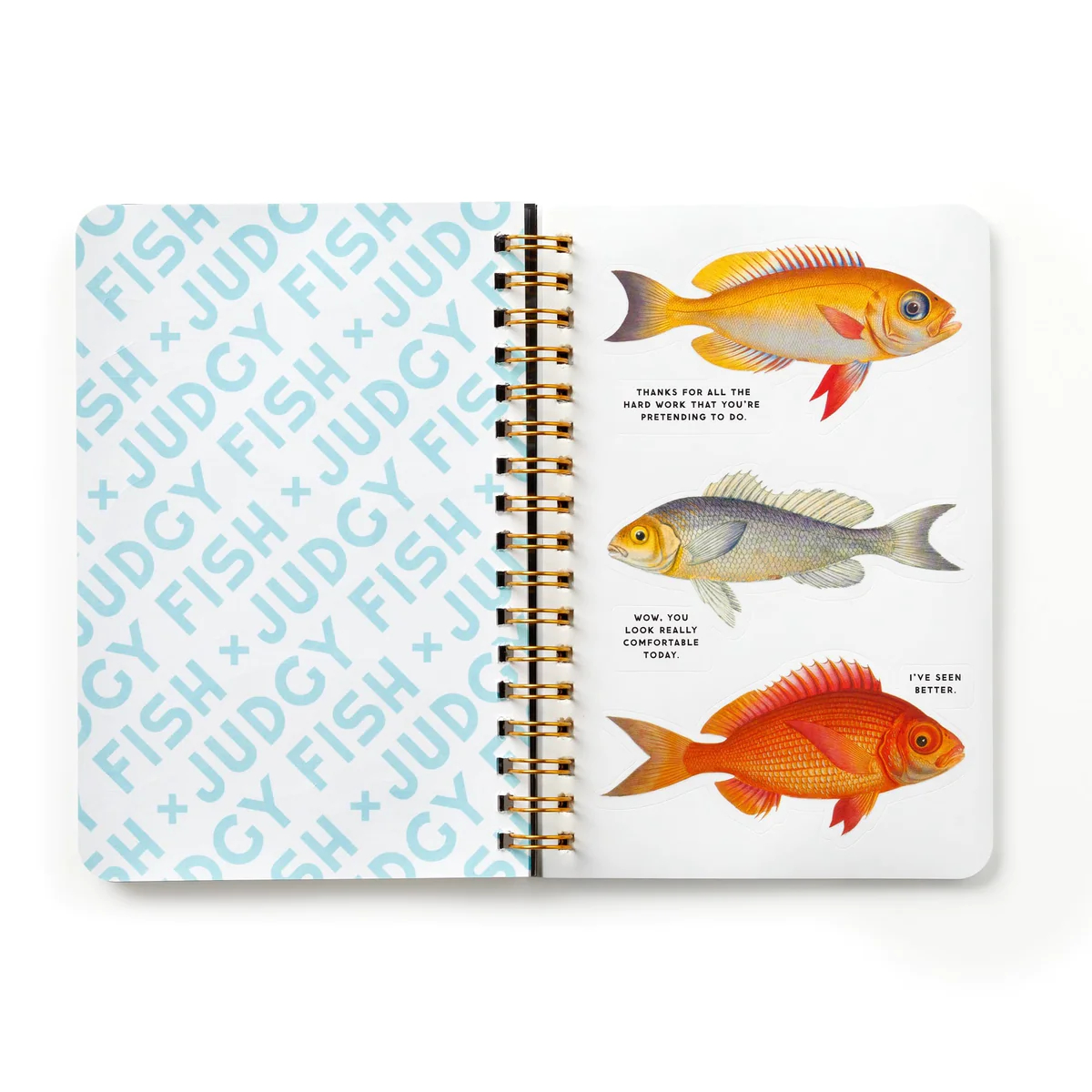 Judgy Fish, Sticker Book - 7