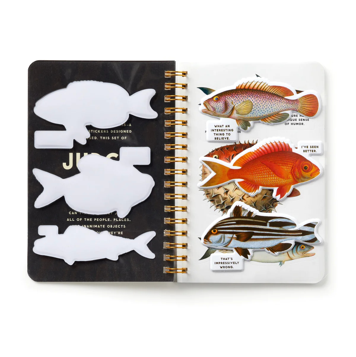 Judgy Fish, Sticker Book - 5