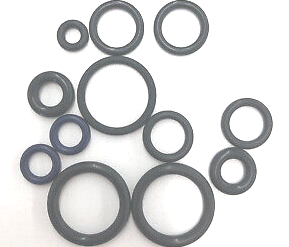 Fuel Injection Seal Kit Flt 1995-01 Oe