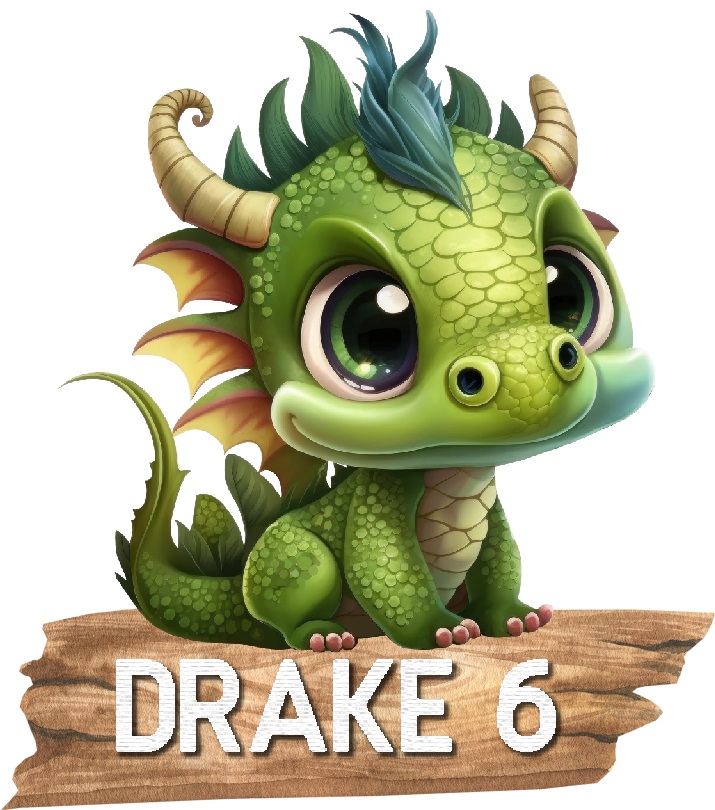 Drake med namn Väggdekor - 8