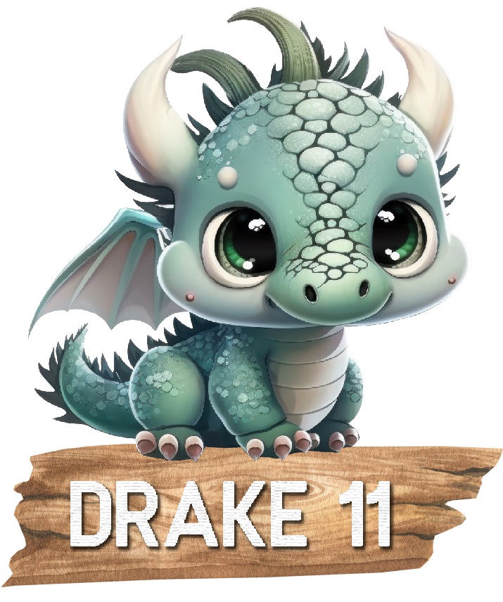 Drake med namn Väggdekor - 13