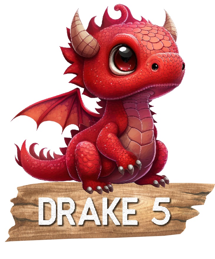 Drake med namn Väggdekor - 7