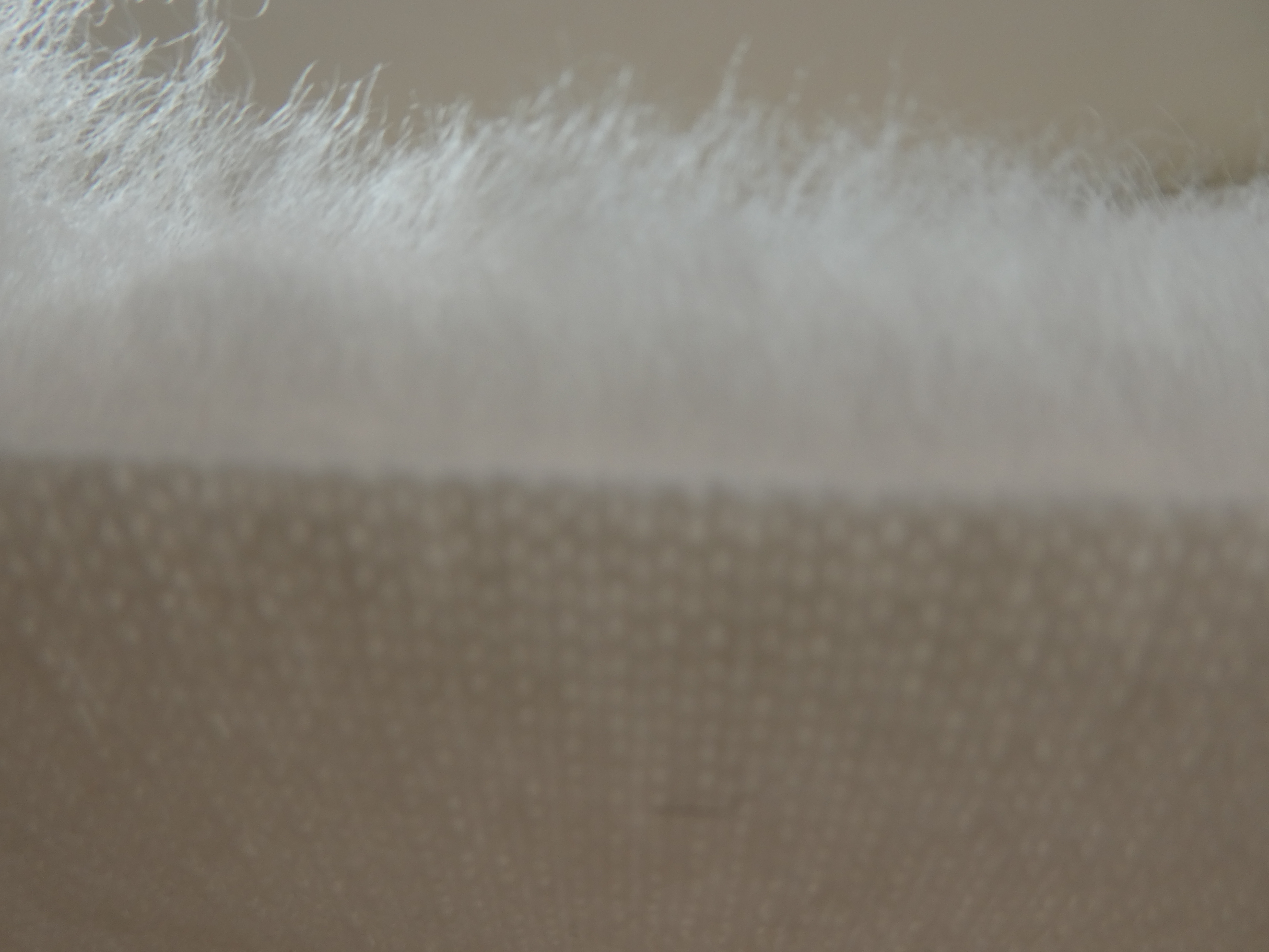 Ally fiberpäls