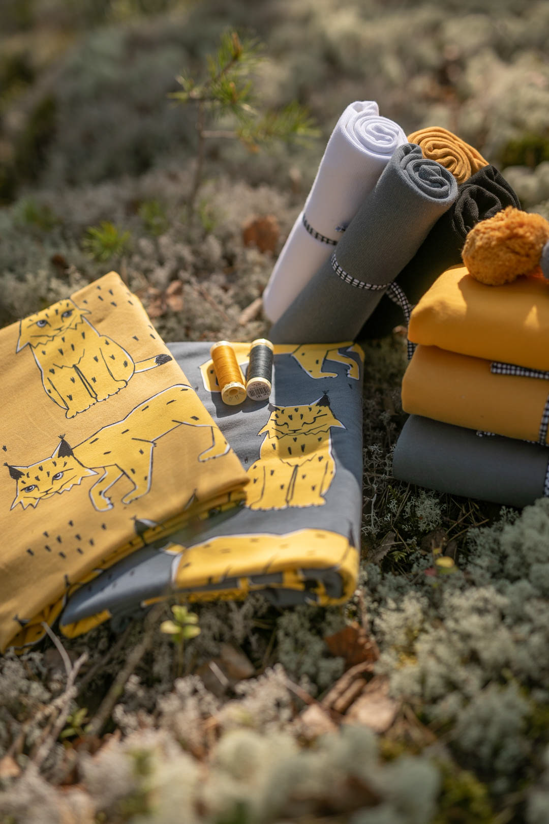 LYNX - OCHRE - 4