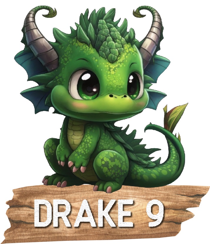 Drake med namn Poster - 10