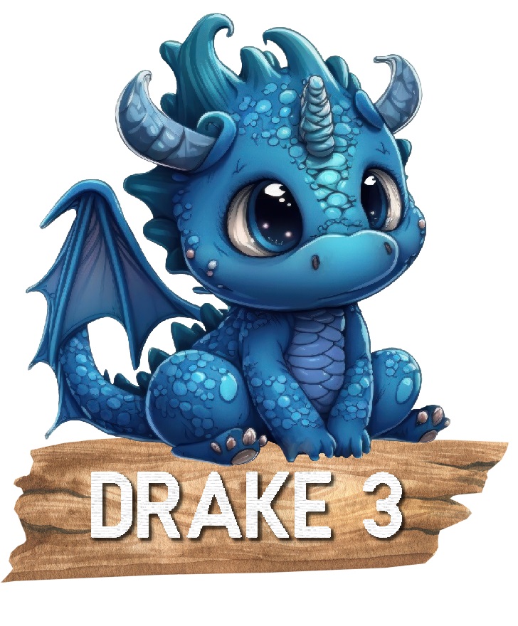Drake med namn Poster - 4