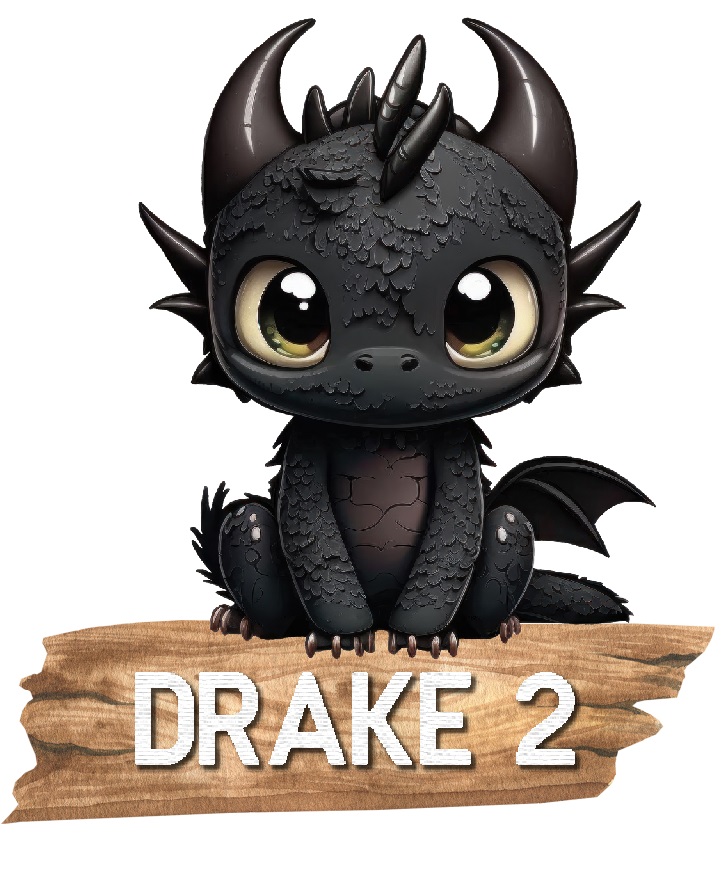 Drake med namn Poster - 3