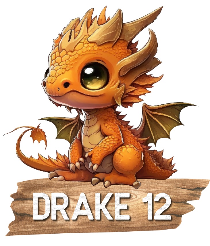Drake med namn Poster - 13