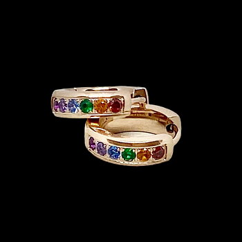 Rainbow earrings in Steel