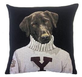 Labrador Yale