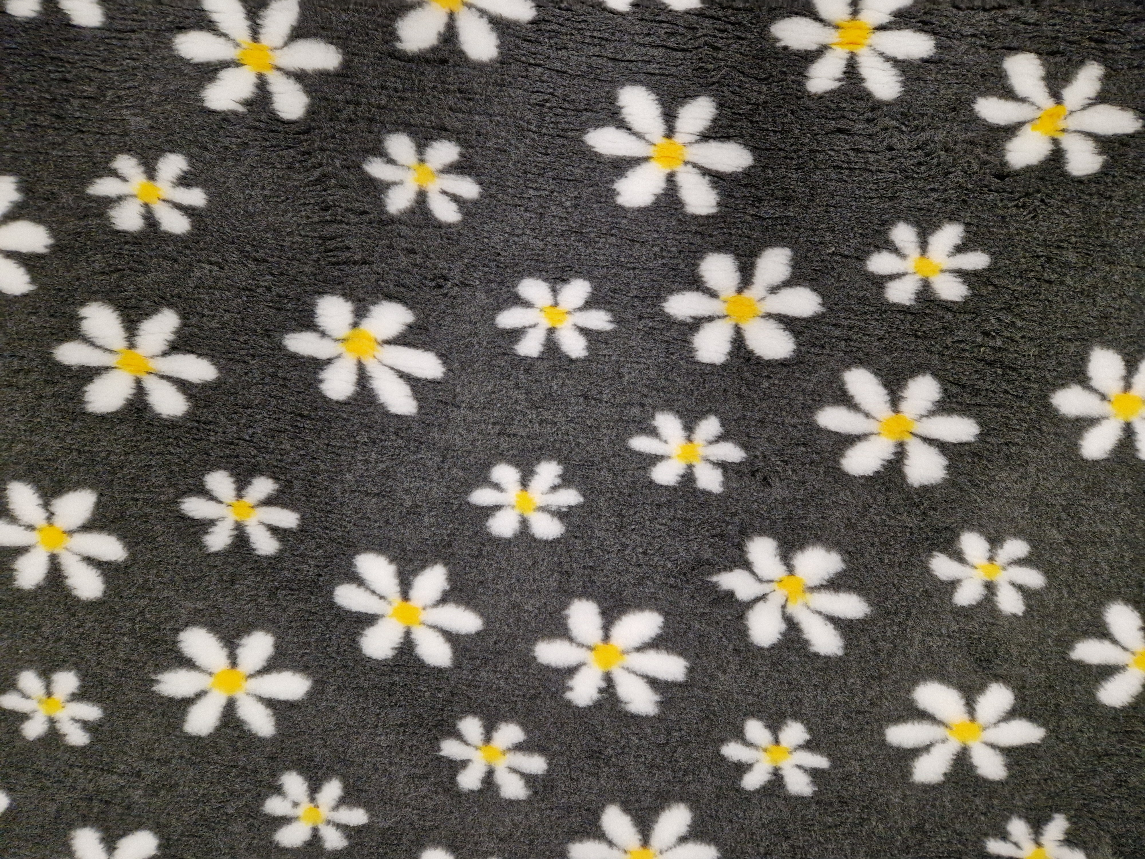 Hundfäll / vetbed, Daisy