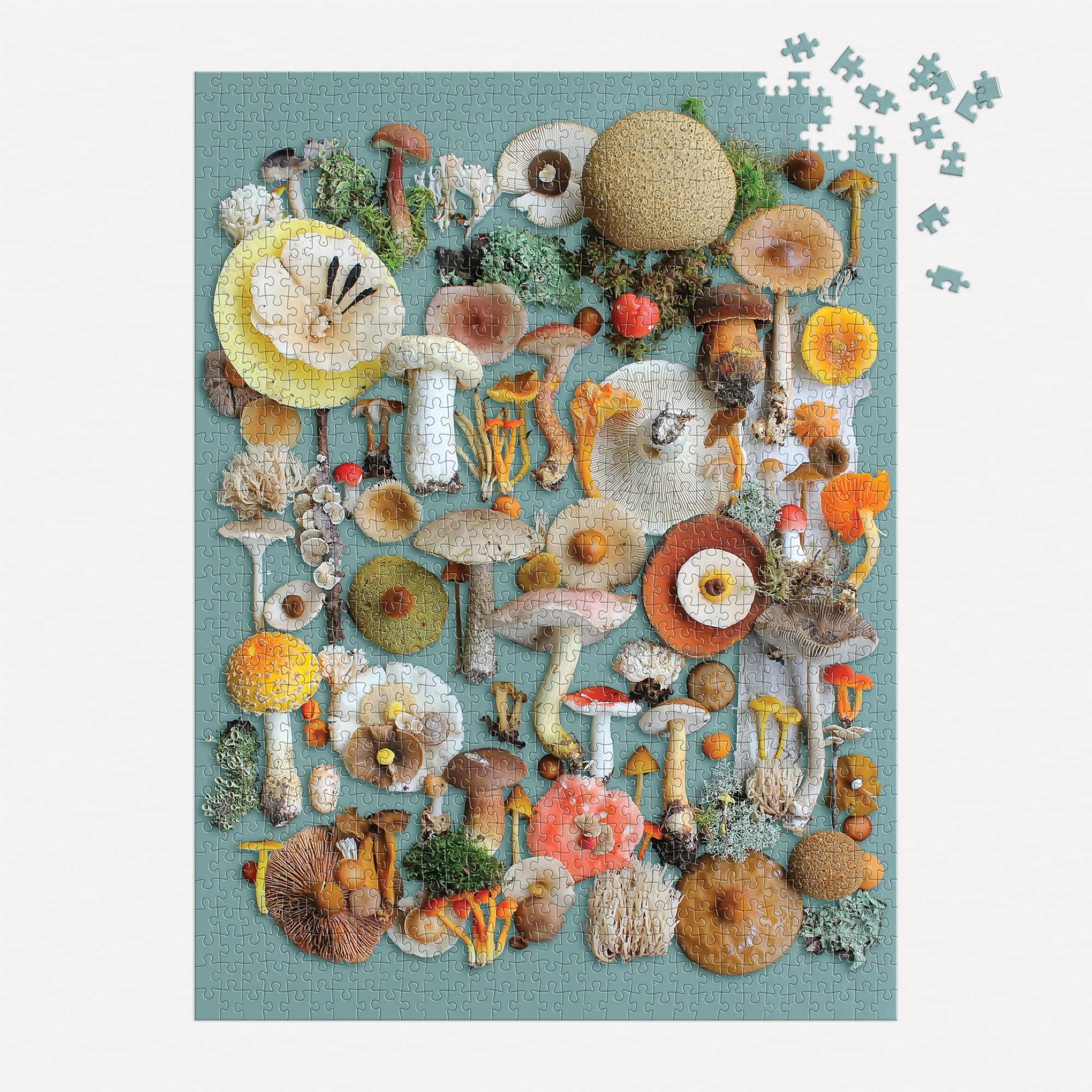 Foraged 1000 Piece Puzzle - 3