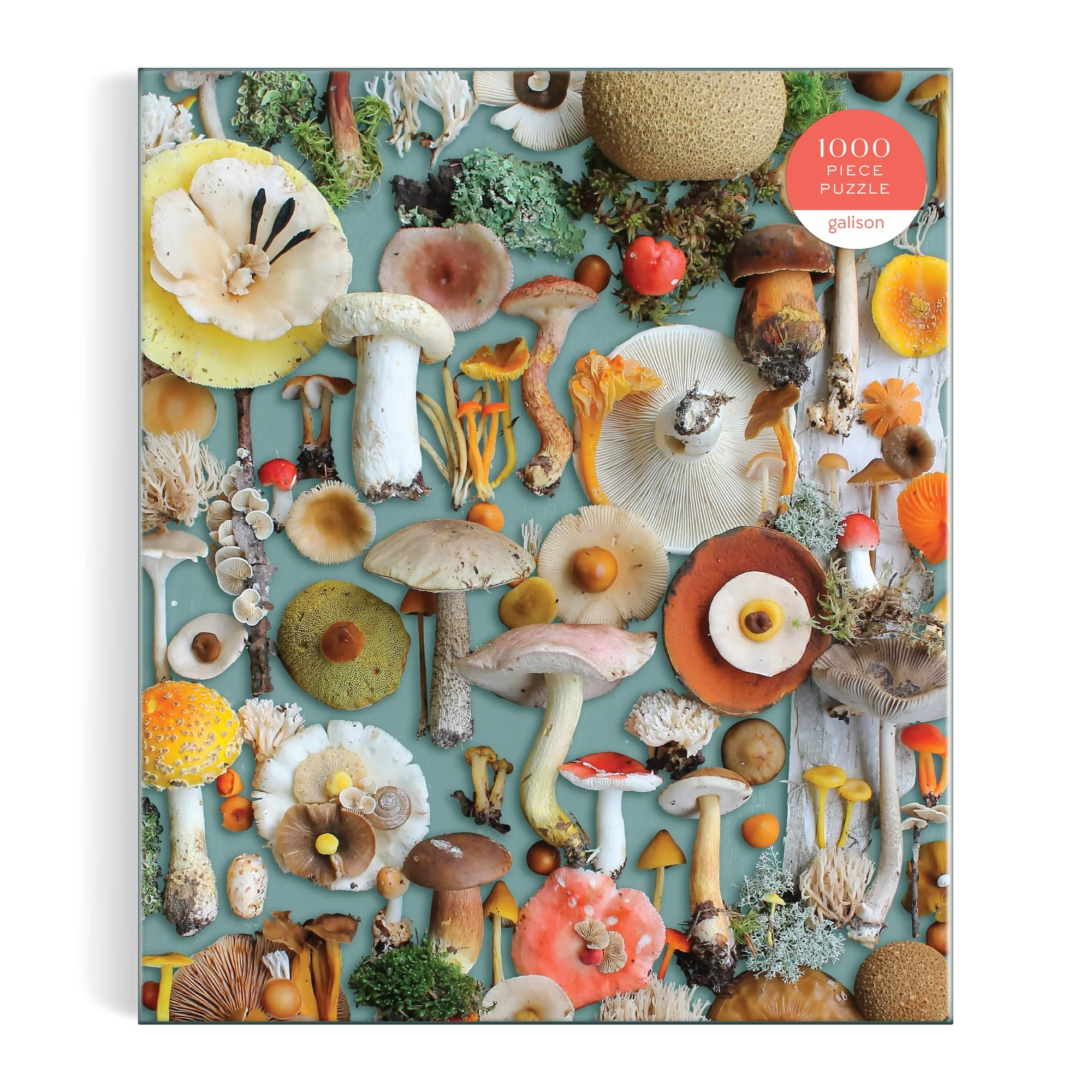 Foraged 1000 Piece Puzzle - 2
