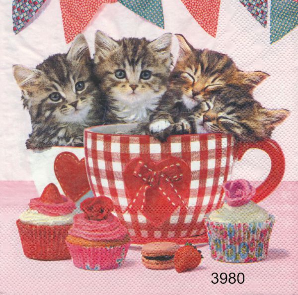 Kattungar i Kopp
