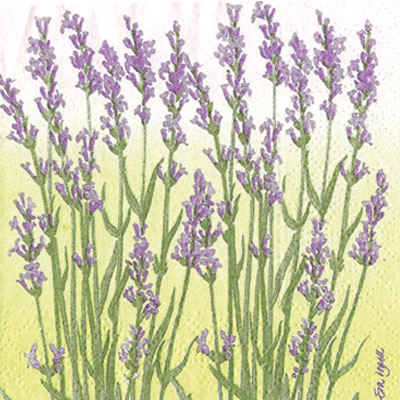 Lavendel lila  Kaffeservett, 20 servetter/fp