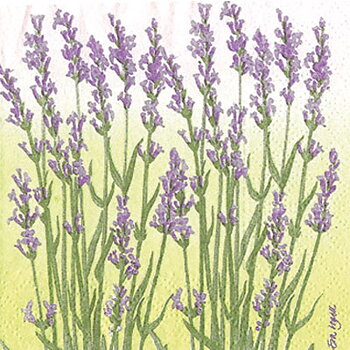 Lavendel lila  Kaffeservett, 20 servetter/fp