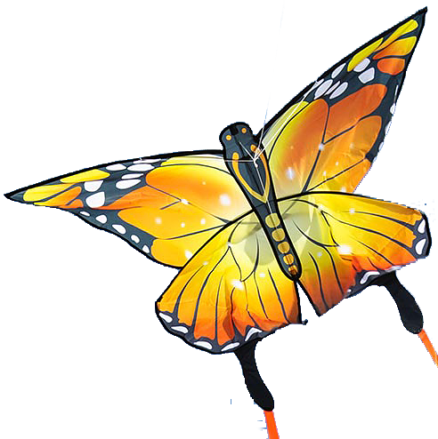 Ecoline Butterfly Monarch