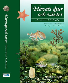 Bok: Havets Djur & Växter