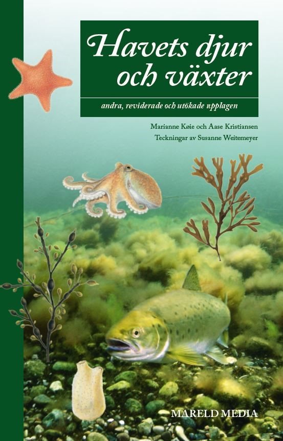 Bok: Havets Djur & Växter - 2