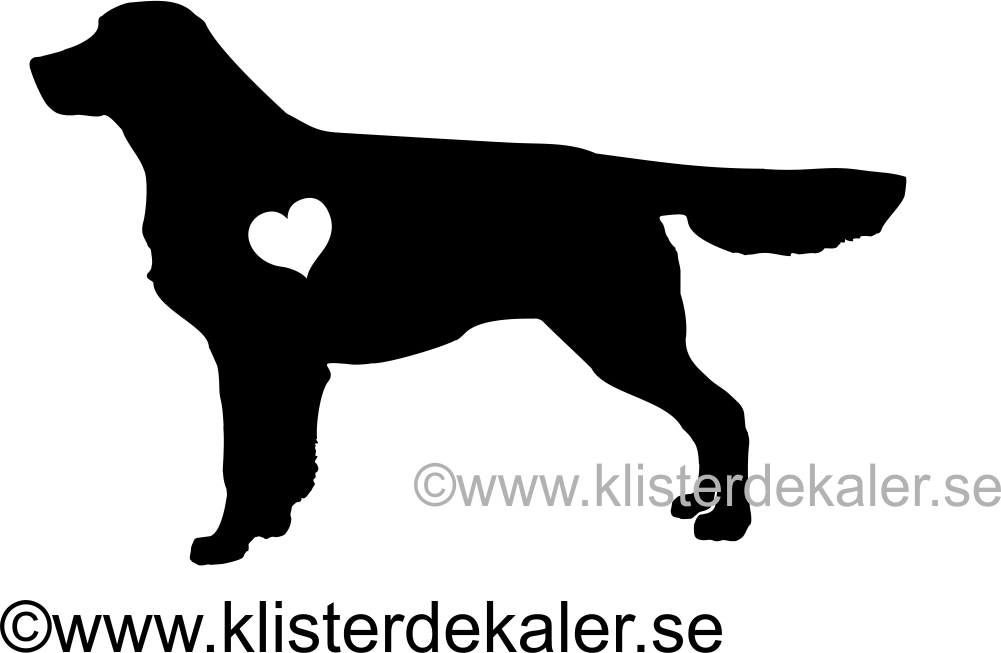 Golden retriever heart