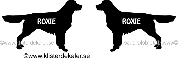 Golden retriever and text - 2