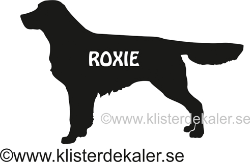 Golden retriever and text