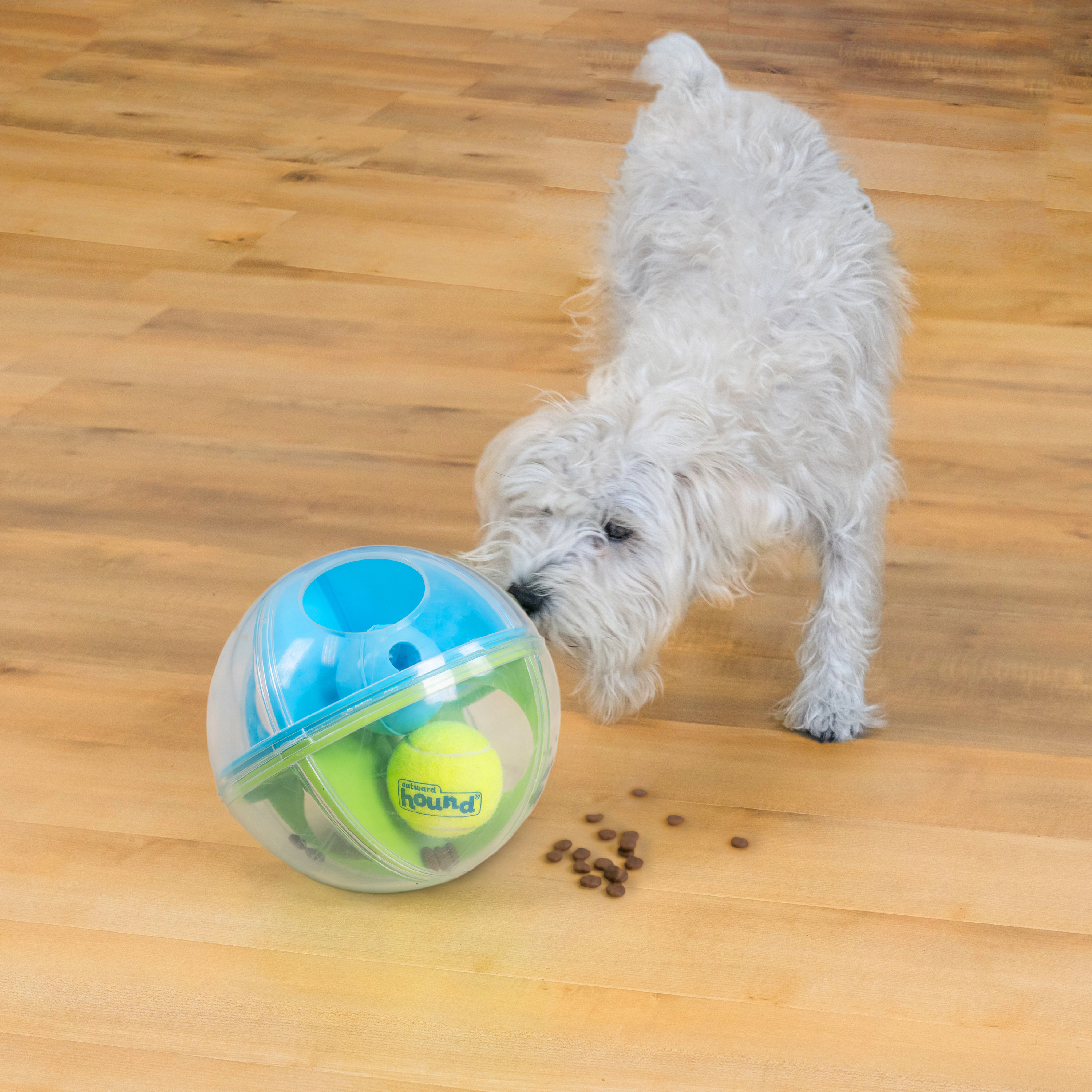 OUTWARD HOUND A-Maze Ball Puzzle & Treat Maze Interactive Dog Toy, Green 