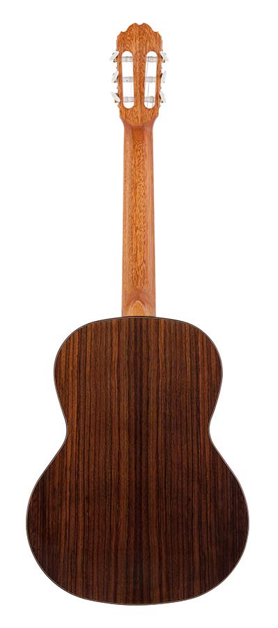 Kremona F65C Soloist - 2