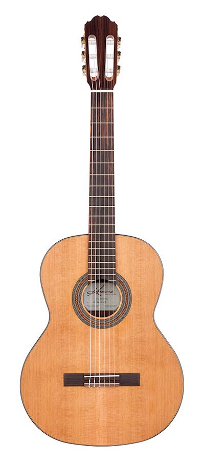Kremona F65C Soloist