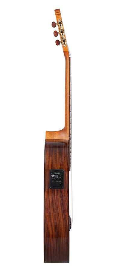Kremona F65CW Soloist - 3
