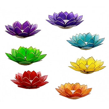 Lotuslyktor i snäckskal  -  Chakra Set - 7 stycken - Guldmetall